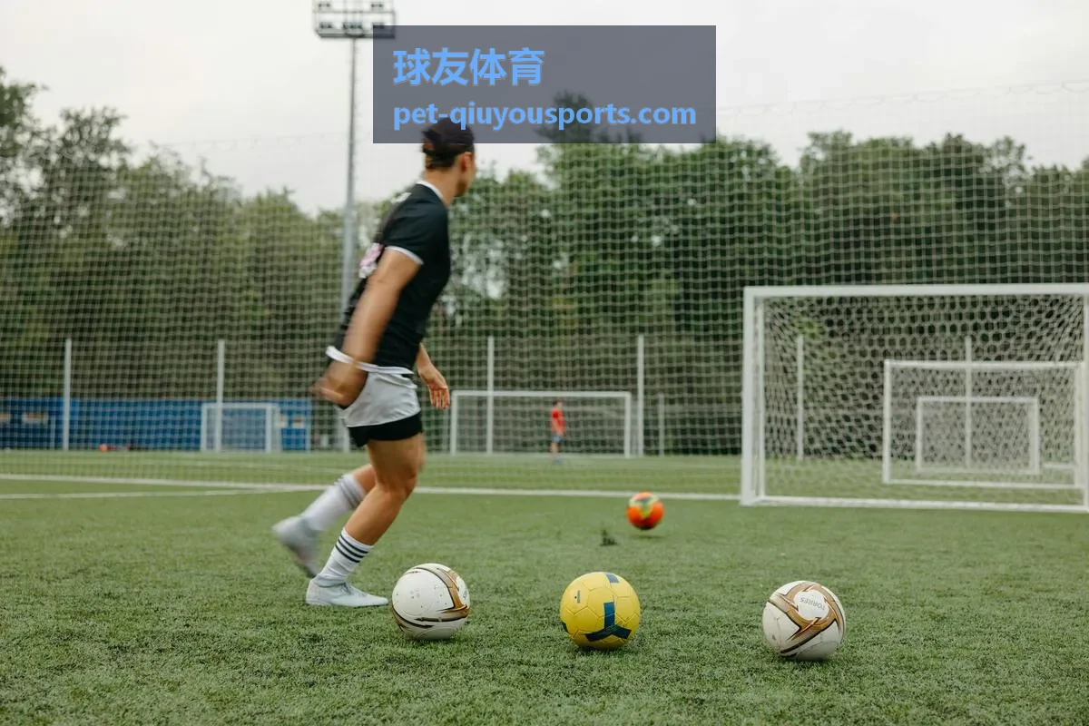 球友体育传奇球星背景展示二